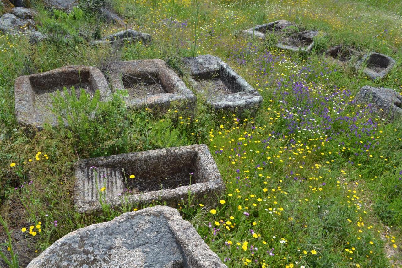 Albergue La Jarilla Plasenzuela Exteriér fotografie