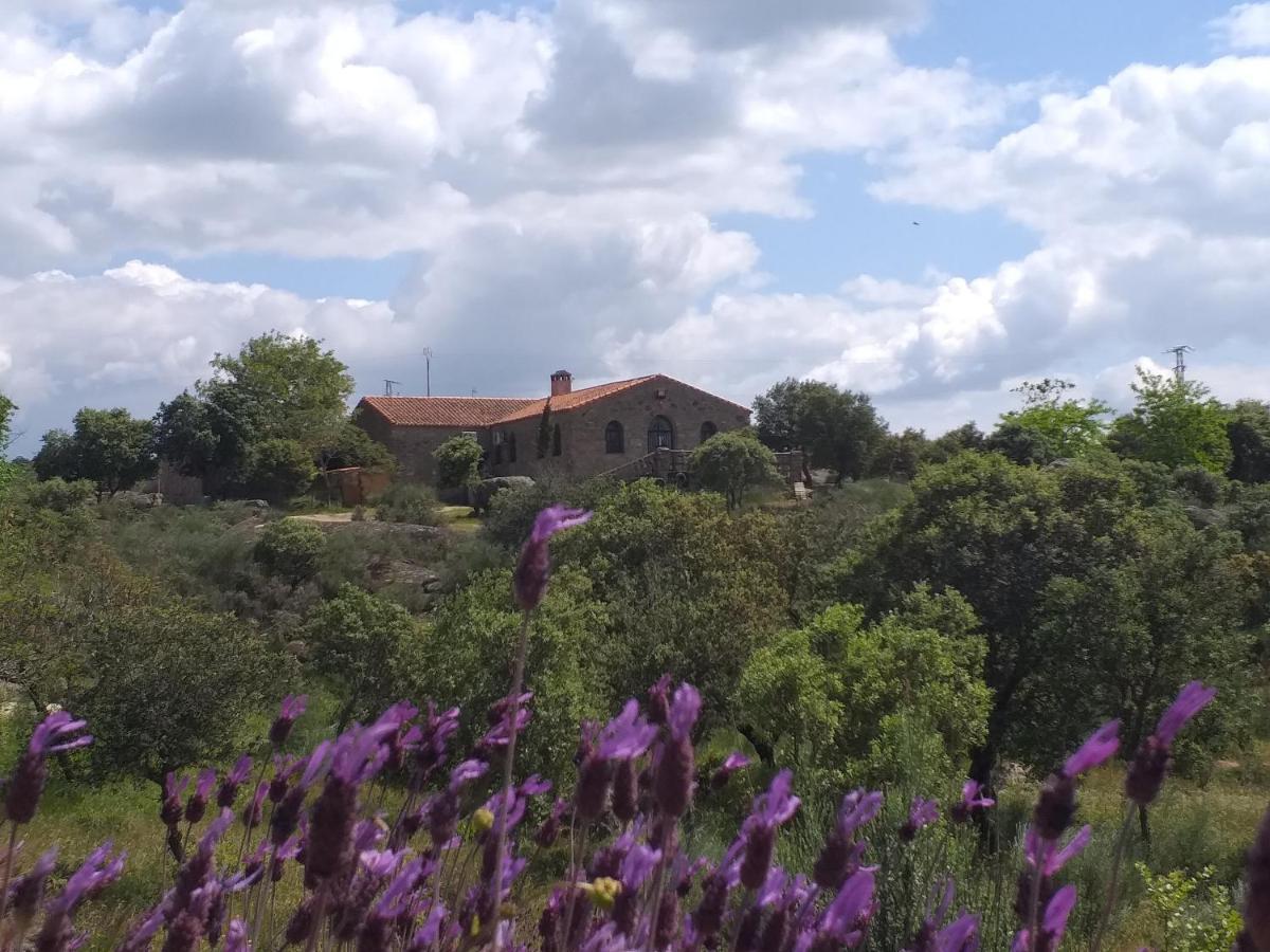 Albergue La Jarilla Plasenzuela Exteriér fotografie